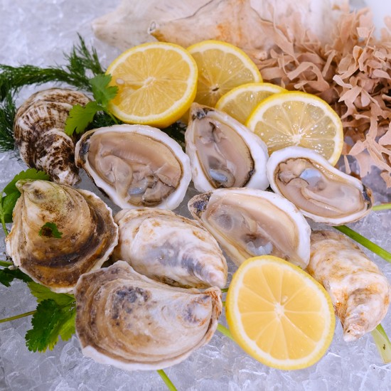  Beau Soleil Cocktail Oysters - Each